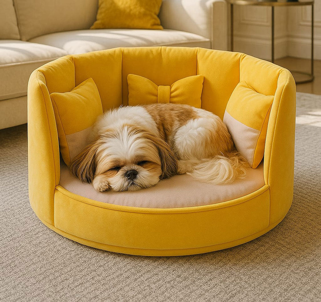 Dog velvet collection - Aristo