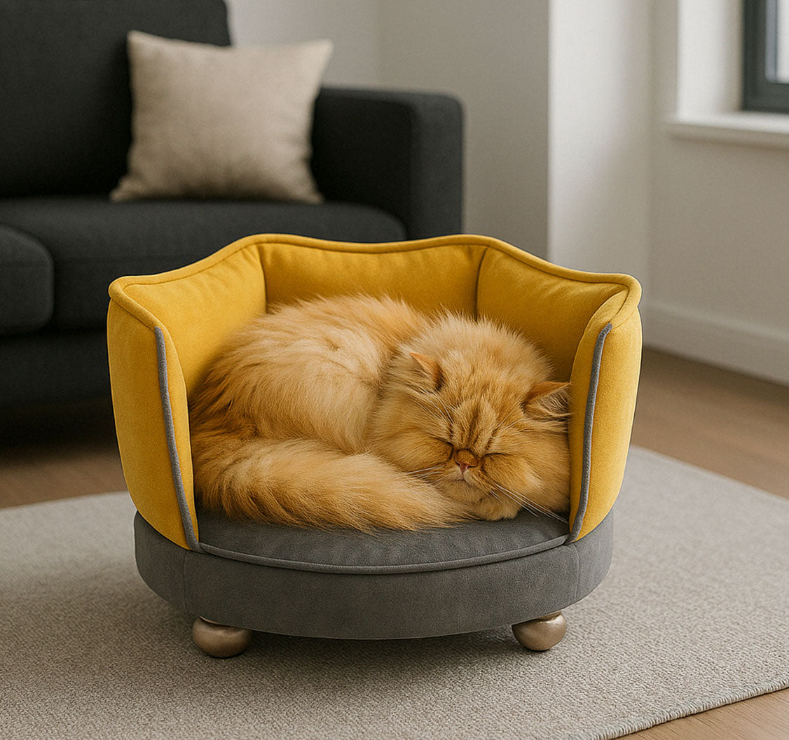Ragdoll cat curled up in a yellow and grey velvet mini sofa bed – stylish pet furniture by Aristopet