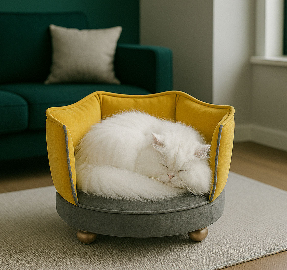 White Persian cat curled up in a green and grey velvet mini sofa bed – stylish pet furniture by Aristopet