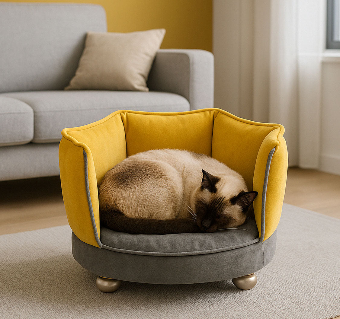 Siamese cat curled up in a green and grey velvet mini sofa bed – stylish pet furniture by Aristopet