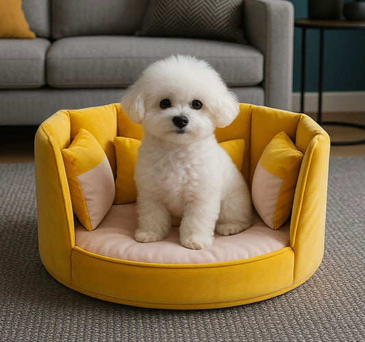Bishon dog sleeping in a round grey velvet pet sofa bed – premium design by Aristopet